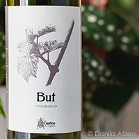 But Bianco (2020) Cantina di Tappia