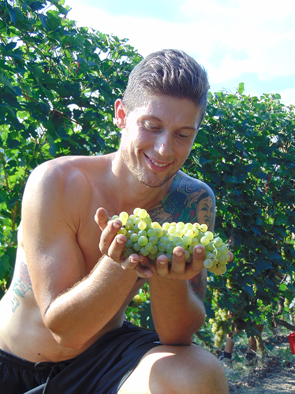 Adriano orgoglioso dell'uva raccolta
