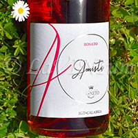 Rosato Amistà 2020 Val di Neto