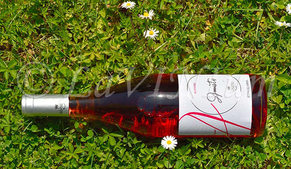 Rosato Amistà 2020 Val di Neto