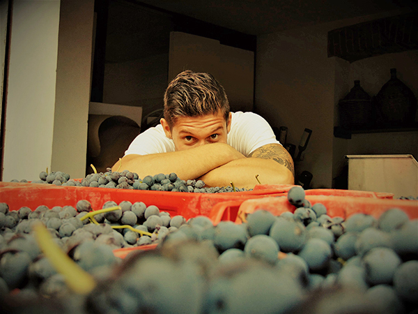 Adriano e l'uva vendemmiata