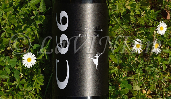 C66 2013 Poggiotondo