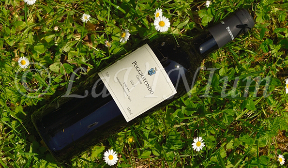 Poggiotondo 2013 Poggiotondo