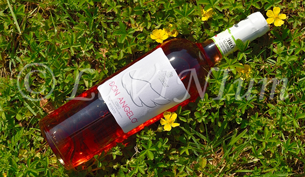 Cirò Rosato Don Angelo 2020 Baroni Capoano