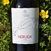 Cirò Rosso Classico Superiore Neruda 2019 Baroni Capoano