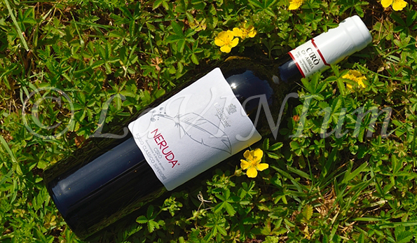 Cirò Rosso Classico Superiore Neruda 2019 Baroni Capoano