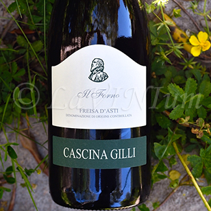 Freisa d'Asti Il Forno 2019 Cascina Gilli