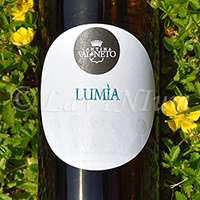 Melissa Bianco Lumìa 2020 Val di Neto