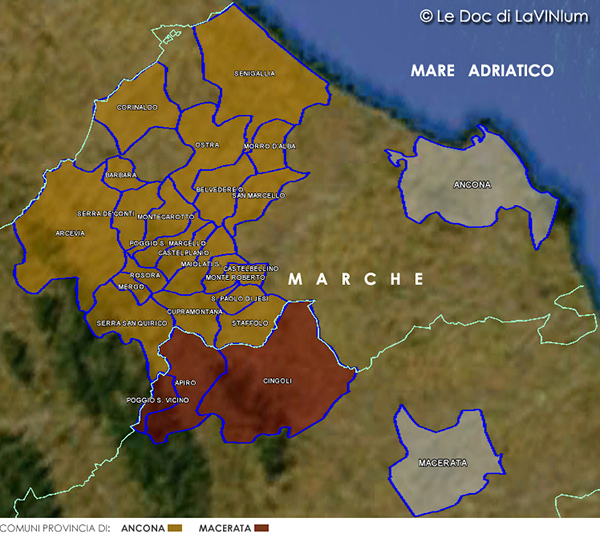 mappa vino doc verdicchio dei castelli di jesi