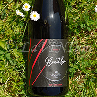 Neaithos Rosso 2020 Val di Neto