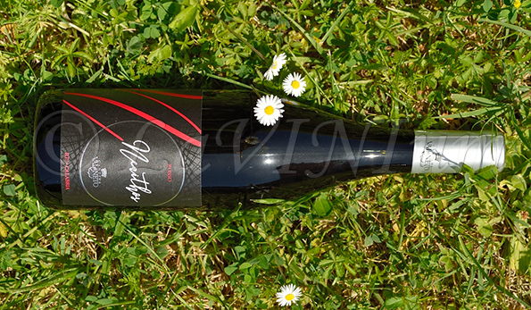 Neaithos Rosso 2020 Val di Neto