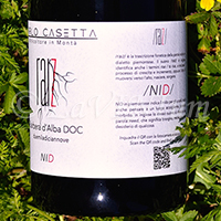 Barbera d'Alba Raiz Nid 2019 Carlo Casetta