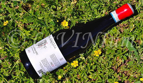 Barbera d'Alba Raiz Nid 2019 Carlo Casetta