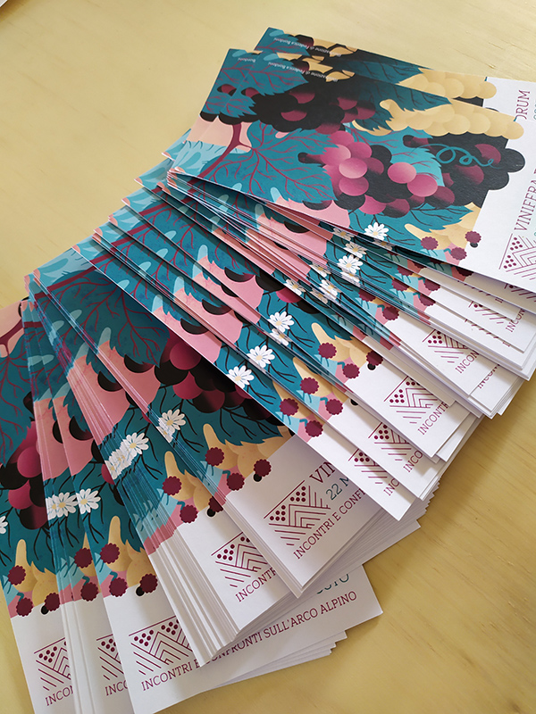 depliant vinifera 2021