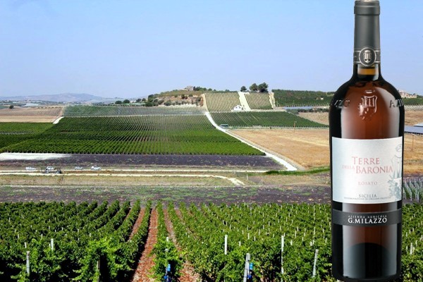 Sicilia Rosato Terre della Baronìa 2019 Milazzo