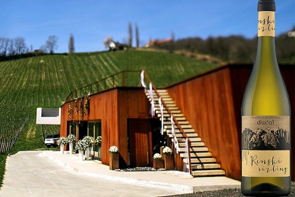 Renski rizling Štajerska Slovenia 2011 Ducal