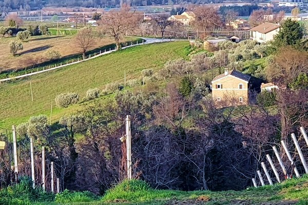 vigneti Montecappone