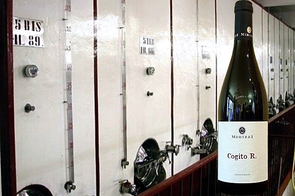 Cogito R. Montecappone