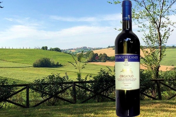 Lacrima di Morro d'Alba Superiore Orgiolo 2006 Marotti Campi