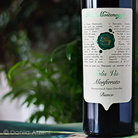 Monferrato Bianco Solis Vis 2020 Tenuta Montemagno