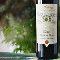 Monferrato Rosso Violae 2019 Tenuta Montemagno