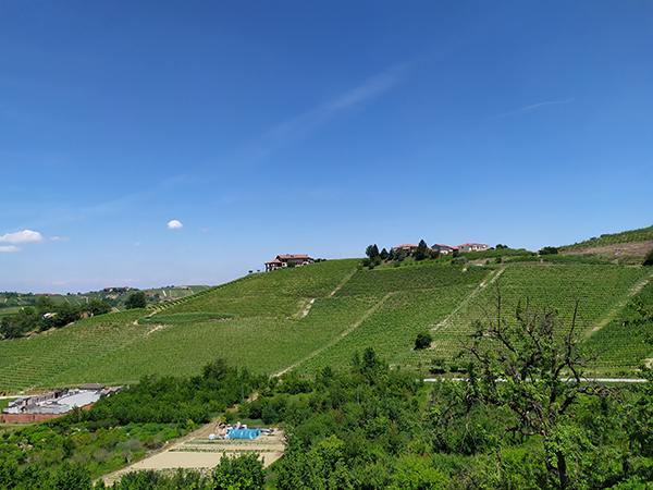 Vigneti a Monteu Roero