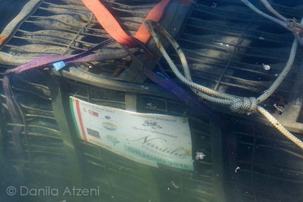 Nautilus CruStorico 2016