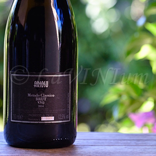 Arioso Brut 2014 Cantina Giorni