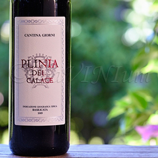 Cabernet Sauvignon Plinia del Calace 2019 Cantina Giorni