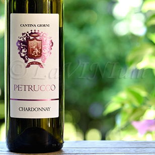 Chardonnay Petrucco 2018 Cantina Giorni