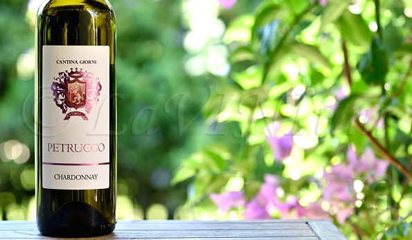 Chardonnay Petrucco 2018 Cantina Giorni