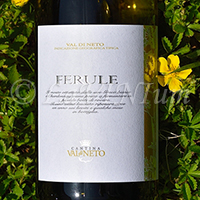 Ferule Bianco 2019 Val di Neto