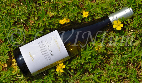Ferule Bianco 2019 Val di Neto