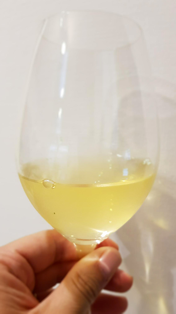 Gavi di Gavi Etichetta Nera 2013 La Scolca