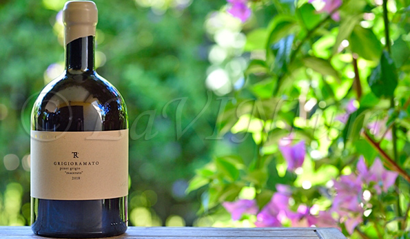 Delle Venezie TesiRare GrigioRamato 2018 Italo Cescon