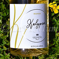 Kalypso Bianco 2020 Val di Neto