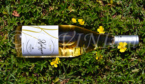 Kalypso Bianco 2020 Val di Neto