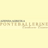 logo Ponteballerine