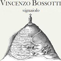logo Vincenzo Bossotti