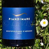 Montepulciano d'Abruzzo 2019 Piandimare