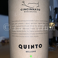 Quinto Bianco 2020 Cincinnato