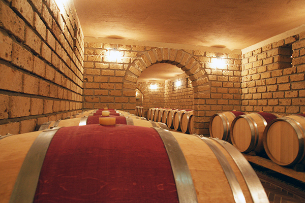 Quintodecimo bottaia