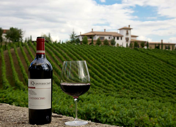 Quintodecimo bottiglia