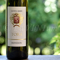 Sauvignon Tora 2018 Cantina Giorni
