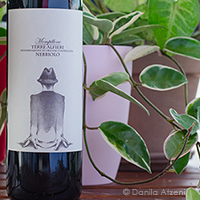 Terre Alfieri Nebbiolo Mompillone 2018 Vincenzo Bossotti