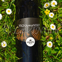 Vigna delle Volpi Rosso 2019 Val di Neto