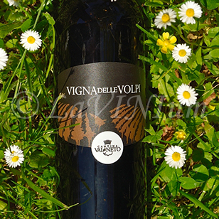 Vigna delle Volpi Rosso 2019 Val di Neto