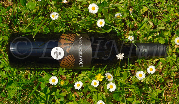 Vigna delle Volpi Rosso 2019 Val di Neto