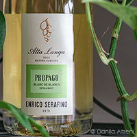 Alta Langa Propàgo Blanc de Blancs Extra Brut 2017 Enrico Serafino