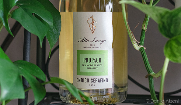 Alta Langa Propàgo Blanc de Blancs Extra Brut 2017 Enrico Serafino